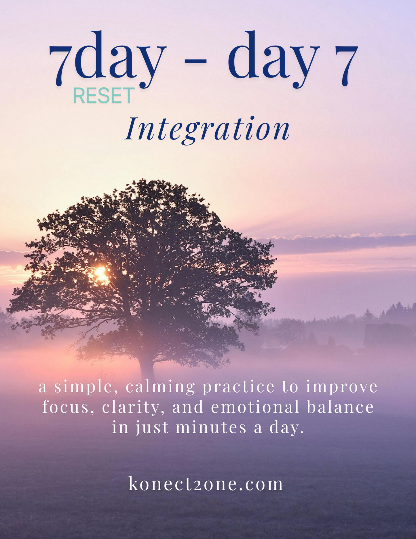 7 day Reset — day 7 Integration