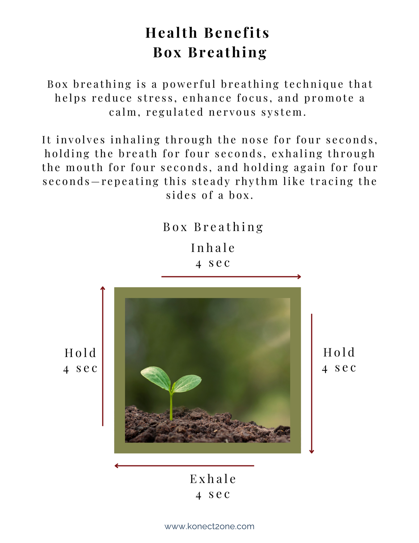 Box Breathing Technique — Free PDF Guide for Stress Relief and Presence