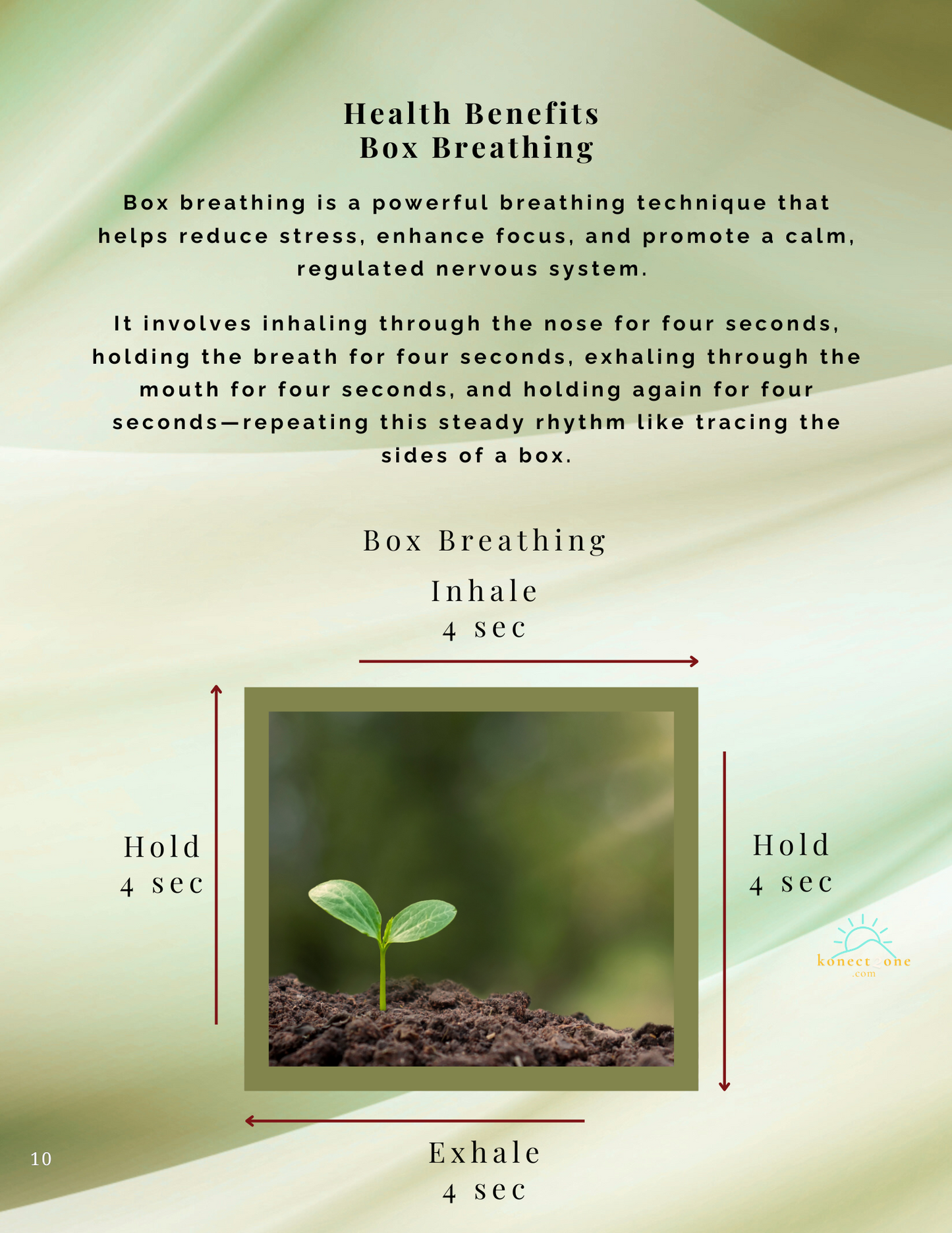 Box Breathing Technique — Free PDF Guide for Stress Relief and Presence