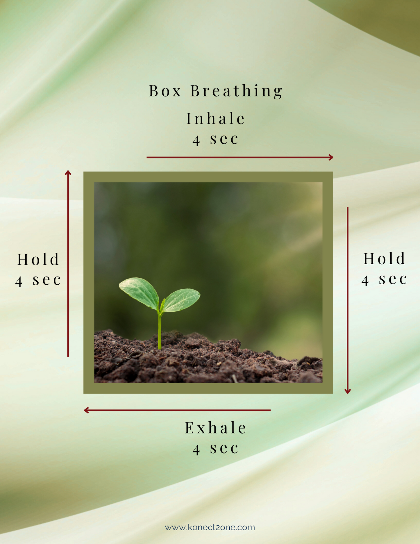 Box Breathing Technique — Free PDF Guide for Stress Relief and Presence